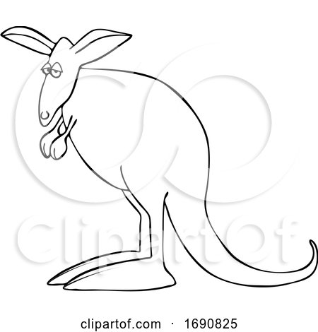 Cartoon Kangaroo by djart