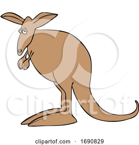 Cartoon Kangaroo by djart