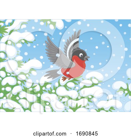 Winter Robin Bird by Alex Bannykh