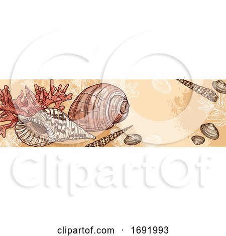 Seashell Banner by Vector Tradition SM
