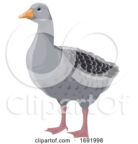 Goose by Vector Tradition SM