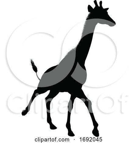 Giraffe Animal Silhouette by AtStockIllustration