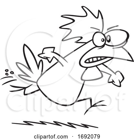 Cartoon Lineart Irate Chicken by toonaday