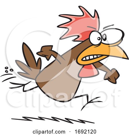 Cartoon Irate Chicken by toonaday