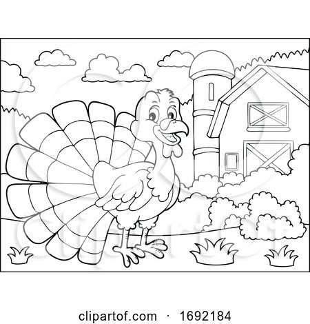 Turkey Bird by visekart