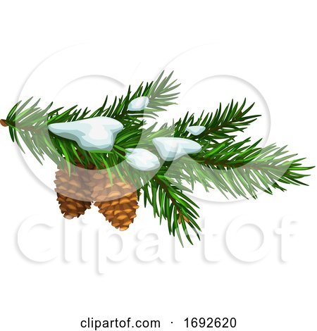 Snow Flocked Pine Branches by Vector Tradition SM