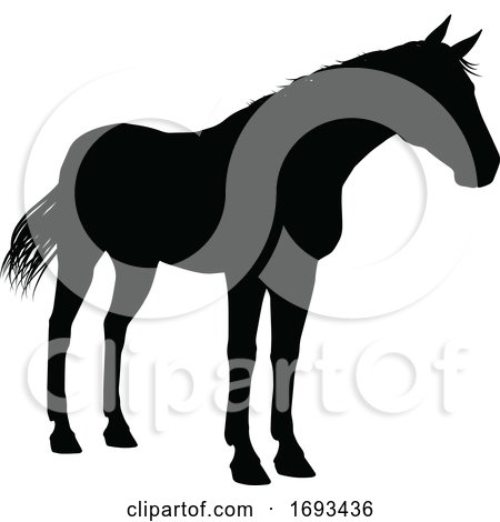 Horse Silhouette Animal by AtStockIllustration