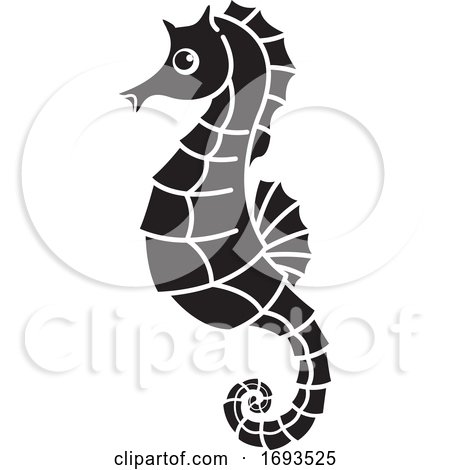 Black and White Seahorse by Lal Perera