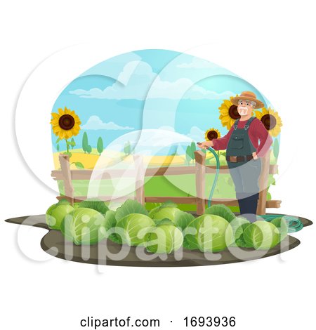 Cabbage Farmer Watering Plants by Vector Tradition SM