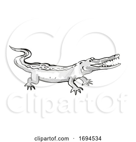 West African Slender Snouted Crocodile Endangered Wildlife Cartoon Drawing by patrimonio