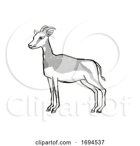 Mhorr Gazelle Endangered Wildlife Cartoon Drawing by patrimonio