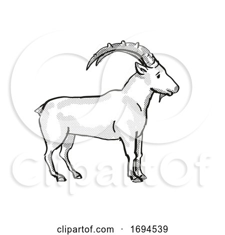 Nubian Ibex Endangered Wildlife Cartoon Drawing by patrimonio