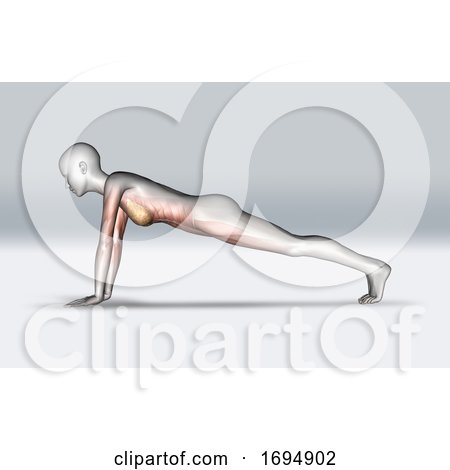 3D Female Figure in Plank Pose with Muscles Highlighted by KJ Pargeter