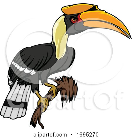Rhinoceros Hornbill Bird by Vector Tradition SM