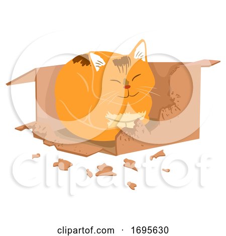 Cat Box Biting Illustration by BNP Design Studio