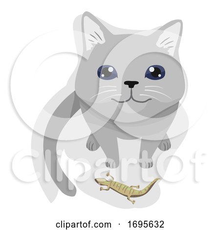 Cat Pet Gift Lizard Illustration by BNP Design Studio
