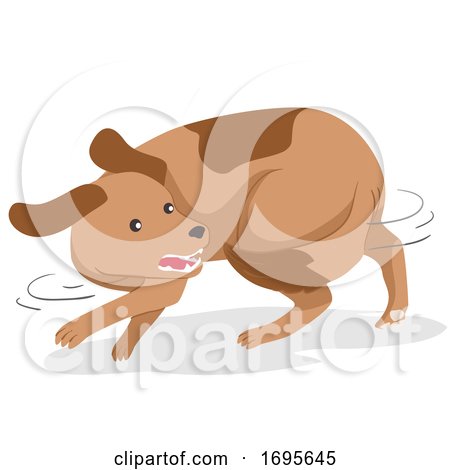 Dog Pet Chase Tail Illustration by BNP Design Studio
