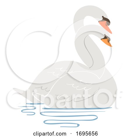 Swan Entwine Neck Courting Illustration by BNP Design Studio