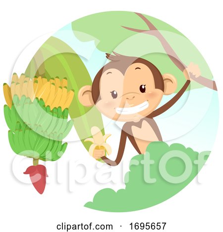 Monkey Tree Banana Illustration by BNP Design Studio