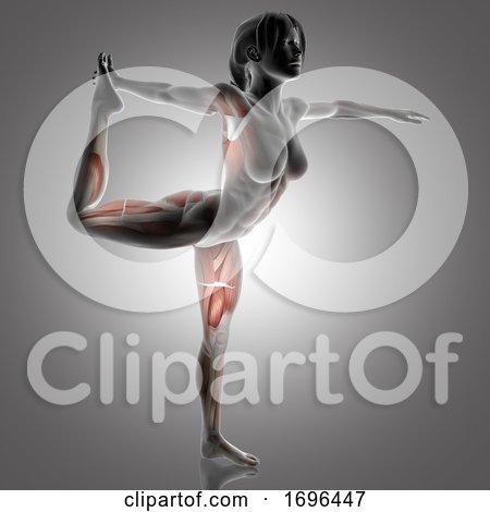 3D Female Figure in Lord of the Dance Yoga Pose with Muscles Used Highlighted by KJ Pargeter