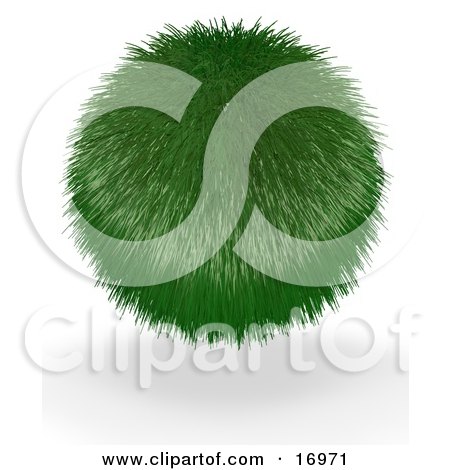 Environmental Clipart Illustration Image of a Green Ball Grass Plant by Leo Blanchette