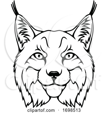 Tough Lynx Mascot by Vector Tradition SM