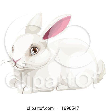 Chinese Zodiac Rabbit by Vector Tradition SM