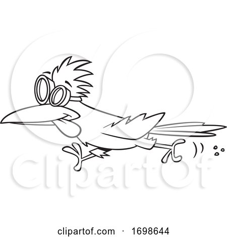 Black and White Roadrunner Wearing Goggles by toonaday