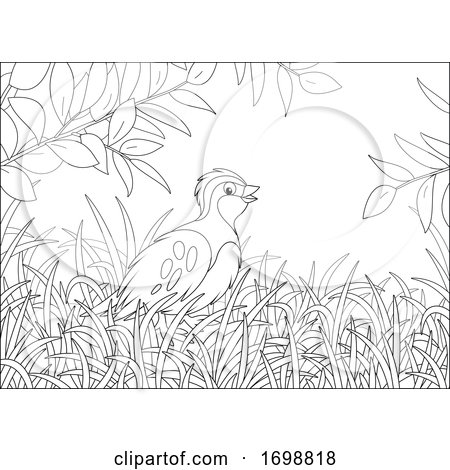 Bird in Grass by Alex Bannykh