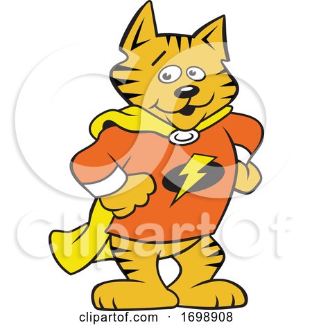 Cartoon Super Hero Cat Mascot by Johnny Sajem