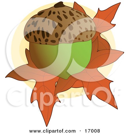Clipart Picture of a Whole Acorn on Top of Fallen Autumn Maple Leaves by Maria Bell