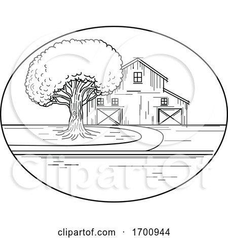 American Barn and Oak Tree by patrimonio