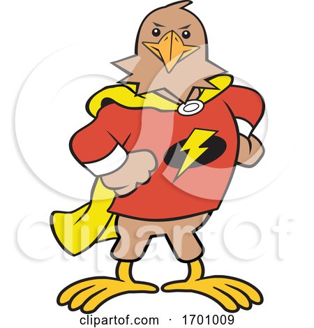 Cartoon Super Hero Hawk Mascot by Johnny Sajem