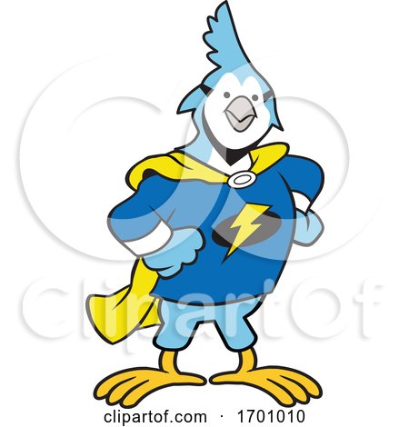 Cartoon Super Hero Jay Bird Mascot by Johnny Sajem
