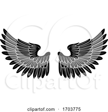 Wings Angel or Eagle Pair by AtStockIllustration