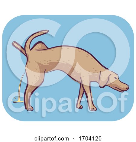 Dog Symptom Excessive Peeing Illustration by BNP Design Studio