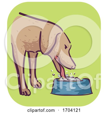 Dog Symptom Excessive Drinking Illustration by BNP Design Studio