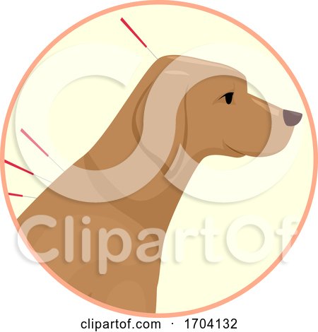 Dog Animal Acupuncture Illustration by BNP Design Studio