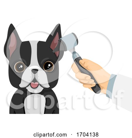 Dog Ear Check up Illustration by BNP Design Studio