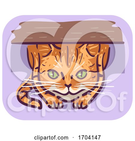 Cat Symptom Hiding Illustration by BNP Design Studio