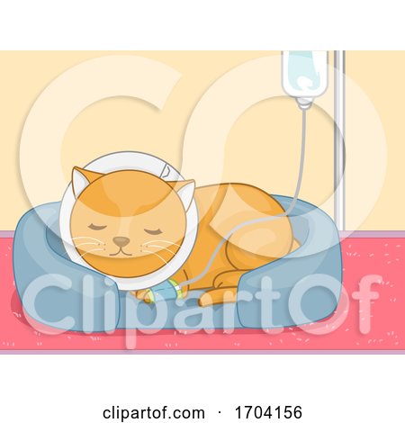 Cat Pet Dextrose Sick Illustration by BNP Design Studio