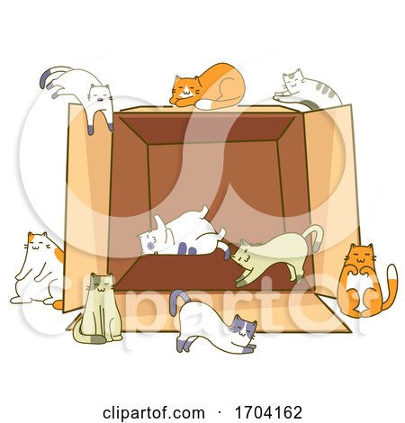 Cats Pose Cardboard Box Illustration by BNP Design Studio