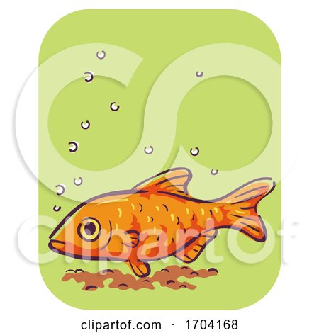 Barb Fish Symptom Stay down Illustration by BNP Design Studio