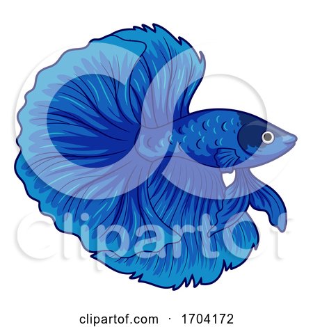 Betta Pet Fish Illustration by BNP Design Studio