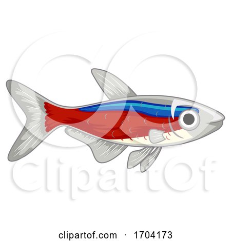 Cardinal Neon Tetra Pet Fish Illustration by BNP Design Studio