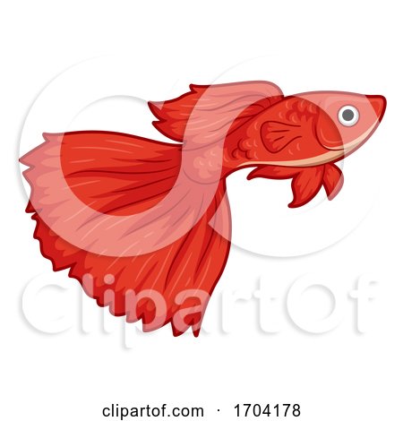 Guppy Pet Fish Illustration by BNP Design Studio