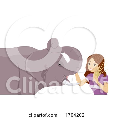 Teen Girl Elephant Illustration by BNP Design Studio