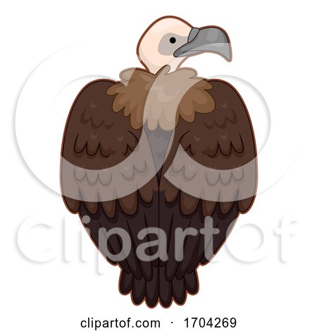 Vulture Back View Illustration by BNP Design Studio