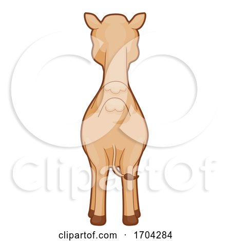 Camel Back View Illustration by BNP Design Studio