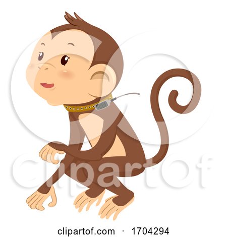 Monkey Tracker Illustration by BNP Design Studio